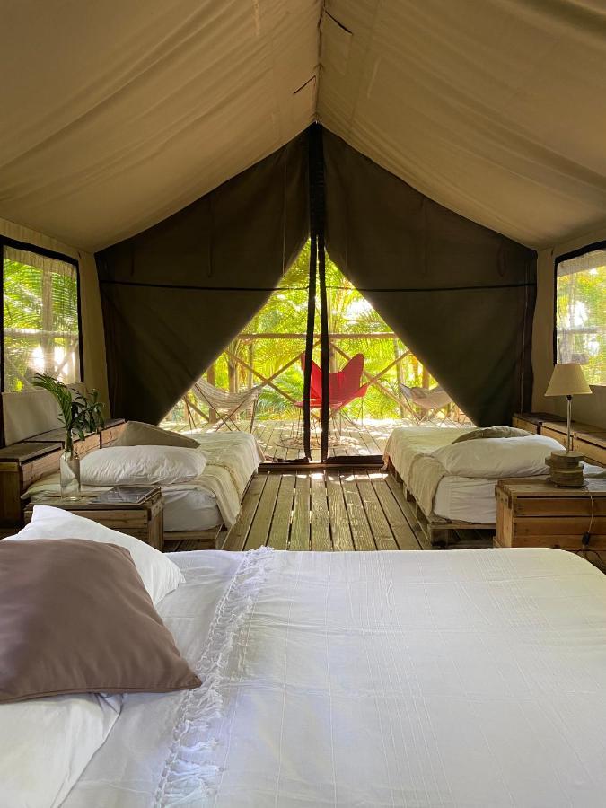 Otentic, Eco Tent Experience Grand River South East Exteriör bild
