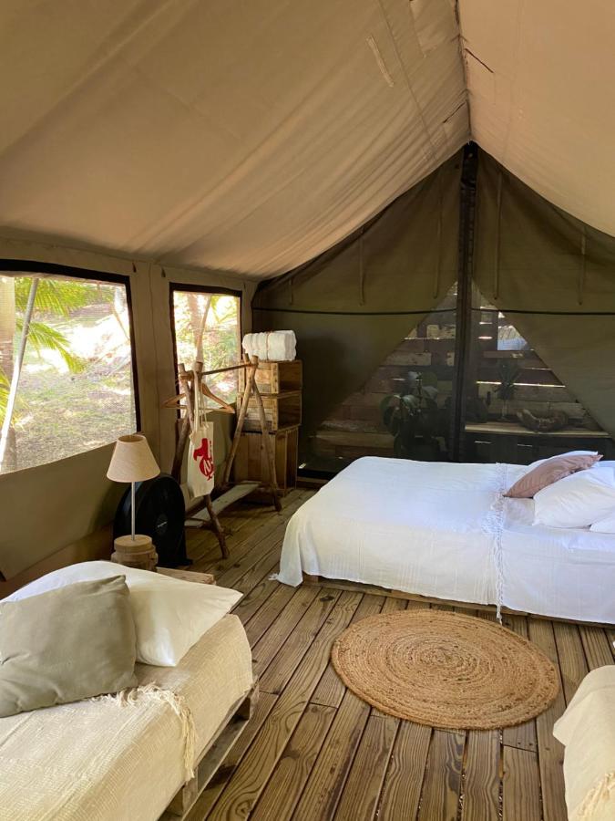 Otentic, Eco Tent Experience Grand River South East Exteriör bild