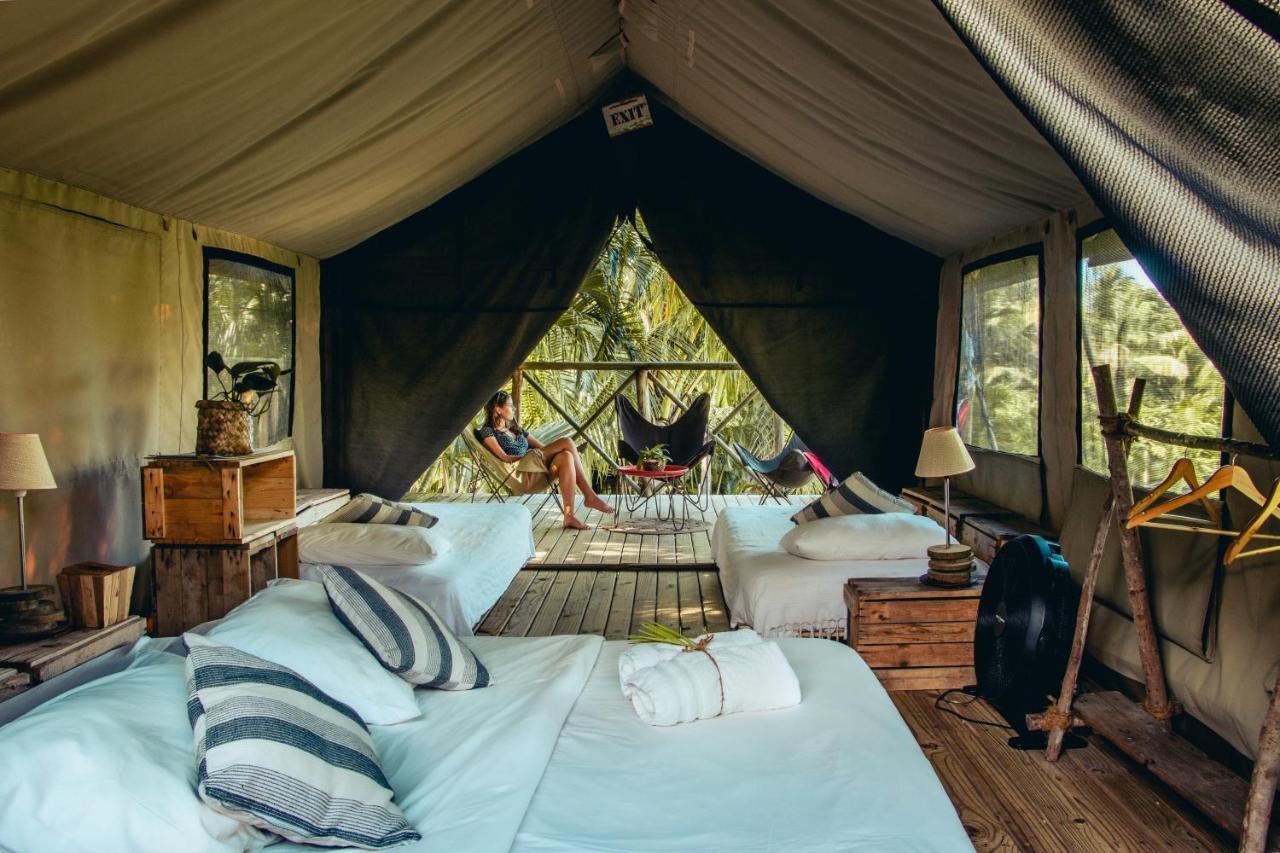 Otentic, Eco Tent Experience Grand River South East Exteriör bild