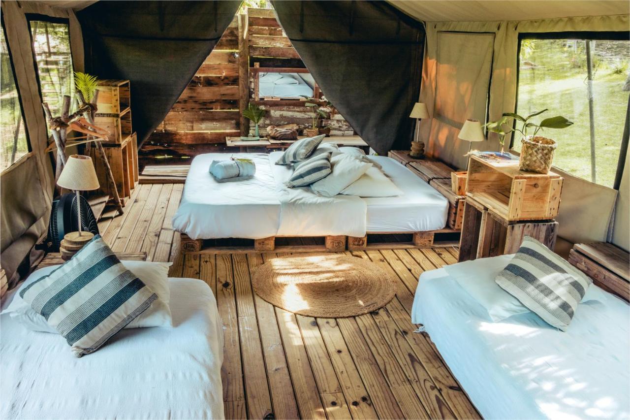 Otentic, Eco Tent Experience Grand River South East Exteriör bild