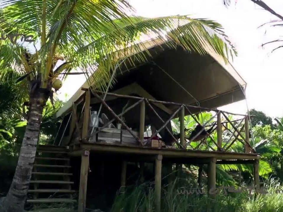 Otentic, Eco Tent Experience Grand River South East Exteriör bild